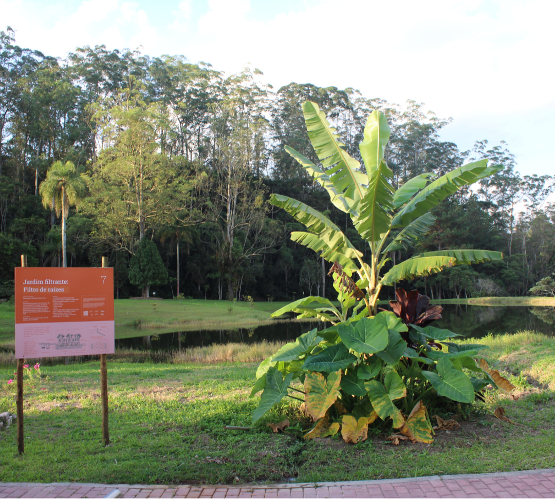 Permacultura